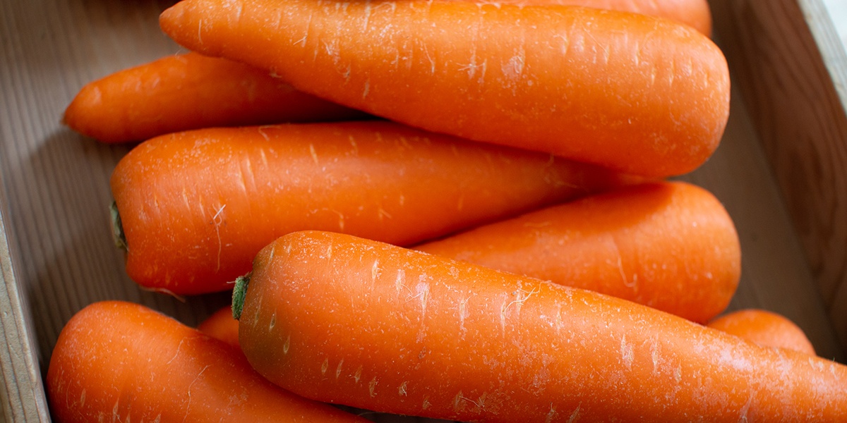 人参 - やましゅうファーム