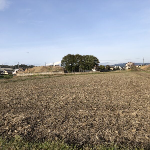 やってきました。田植えシーズン！