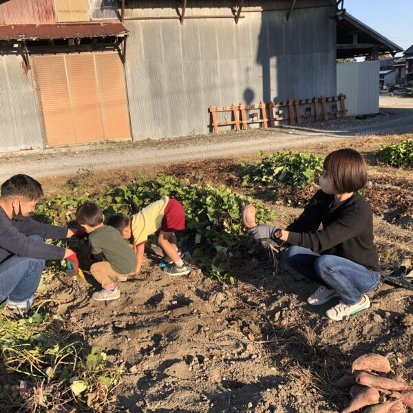 芋掘り大会またやりました