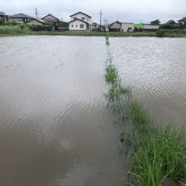 大雨で冠水