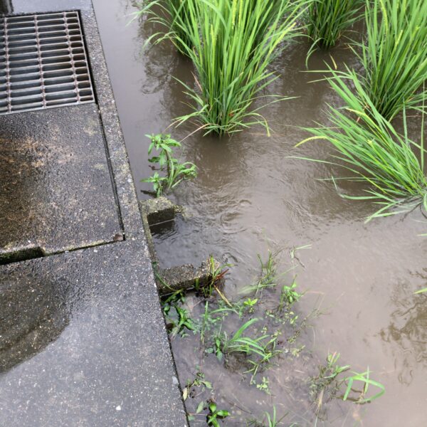 台風１０号から遠く離れていても大雨