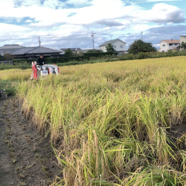 奮闘努力の甲斐もなく