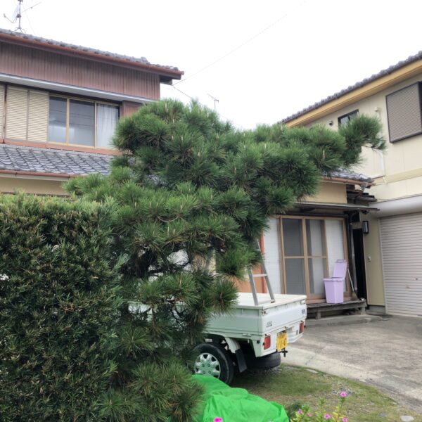 植木屋さんに変身してみました