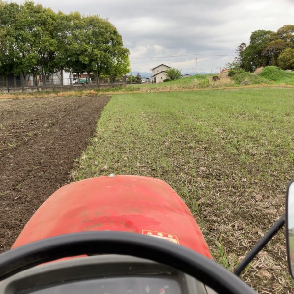 毎月、田おこしをやって田植えに備えます