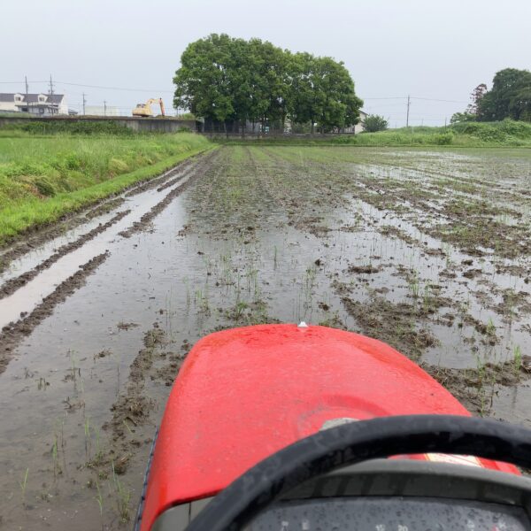 今年は平らな圃場に整地できるのか？