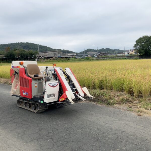 実りの秋、収穫の秋、食欲の秋がやってきました。